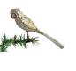 Preview: Antique Owl on clip, lauscha around 1910