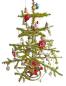 Preview: Antique goose feather tree / feather tree with old christmas tree decorations, 128 cm