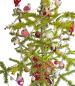 Preview: Antique goose feather tree / feather tree with old christmas tree decorations, 128 cm