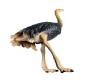 Preview: Antiker Christbaumschmuck / Dresdner Pappe Vogel Strauß um 1900