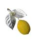 Preview: Spun cotton lemon, ca. 1930