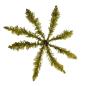 Preview: Antike Palme für Weihnachtskrippe