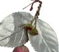 Preview: Spun cotton fruit / pier, ca. 1930