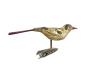 Preview: Glasornament,  Vogel auf Zwicker, ~ 1920