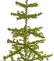 Preview: Antique Goose Feather Tree, 100 cm, ~1940