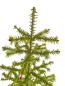 Preview: Antique Goose Feather Tree, 100 cm, ~1940