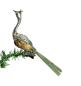 Preview: Antique Peacock / Bird on clip, Lauscha around 1920