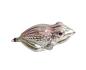 Preview: Glass ornament frog around 1930