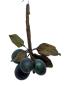 Preview: Plums, ~ 1880 / 1900