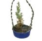 Preview: Sebnitz Ornament Flower Basket, ca. 1900