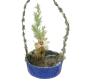 Preview: Sebnitz Ornament Flower Basket, ca. 1900