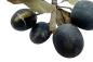 Preview: Plums, ~ 1880 / 1900