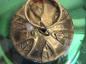 Preview: Green Biedermeier Kugel, Meisenthal Vergo​ (5 cm)