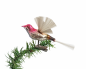 Preview: Lauscha song bird on clip
