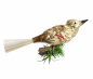 Preview: Singvogel auf Zwicker, Lauscha um 1930