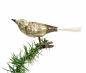Preview: Singvogel auf Zwicker, Lauscha um 1930