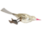 Preview: Song bird with venetian dew on clip, around 1920