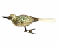 Preview: Singvogel auf Zwicker, Lauscha um 1920