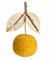 Preview: Spun cotton fruit / orange around 1920