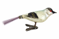 Preview: Lauscha song bird on clip, around 1920