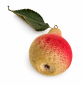 Preview: Spun cotton pear / fruit around 1920