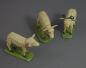 Preview: 3 Schafe, ~ 1900