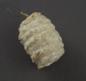 Preview: Spun cotton ornament, ca. 1900