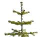 Preview: Antique Goose Feather Tree, 75 cm