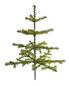 Preview: Antique Goose Feather Tree, 75 cm