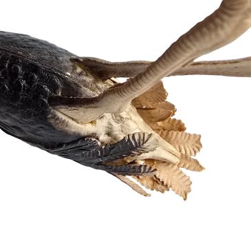 Antiker Christbaumschmuck / Dresdner Pappe Vogel Strauß um 1900