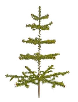 Antique Goose Feather Tree, 100 cm, ~1940