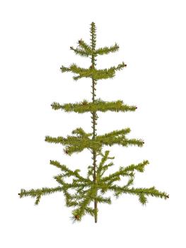 Antique Goose Feather Tree, 100 cm, ~1940