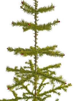 Antique Goose Feather Tree, 100 cm, ~1940