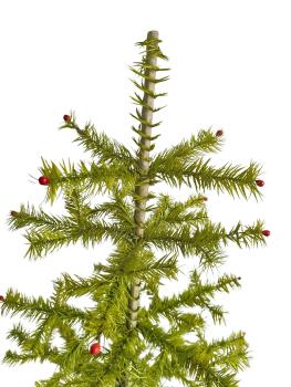Antique Goose Feather Tree, 100 cm, ~1940