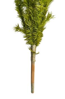 Antique Goose Feather Tree, 100 cm, ~1940