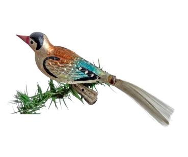 Antique song bird on clip, lauscha around 1920
