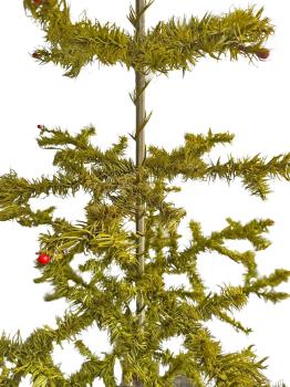 Preview: Antique Goose Feather Tree, 87 cm, around 1940