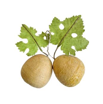 Preview: Spun cotton fruits around 1920