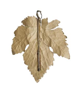 Preview: Gablonz fruits on a leaf around 1920