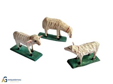 3 Grulicher Schafe, ~ 1900