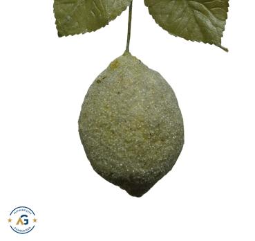 Spun Cotton Lemon, ca. 1920