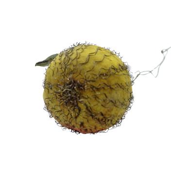 Wire wrapped Spun Cotton Pear, ca. 1920