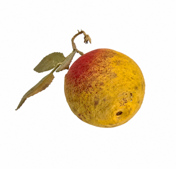 Preview: Frucht  aus Watte um 1920