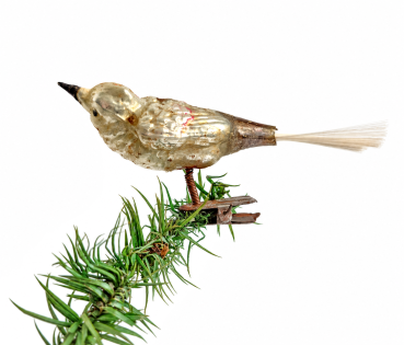 Preview: Singvogel auf Zwicker, Lauscha um 1930