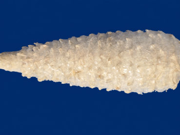 Preview: Spun cotton Icicle, ca. 1900