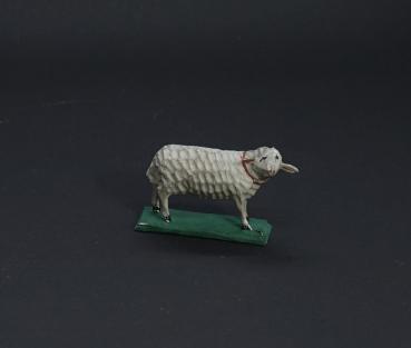 Grulicher Schaf, ca. 1900