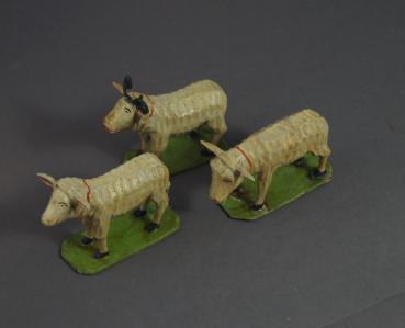 3 Schafe, ~ 1900