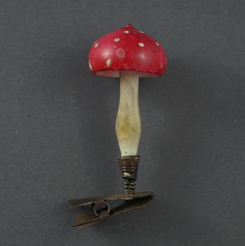 Fliegenpilz auf Zwicker ~ 1930