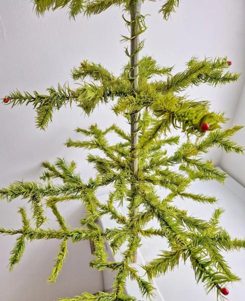 Antique goose feather tree / feather tree with old christmas tree decorations, 128 cm