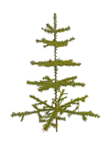 Antique Goose Feather Tree, 100 cm, ~1940